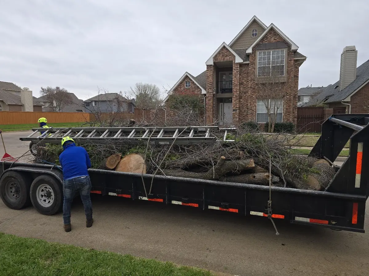 Expert Tree Fertilization with proper safety equipment in Beckwourth